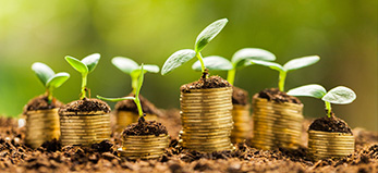 עבירות צווארון לבן