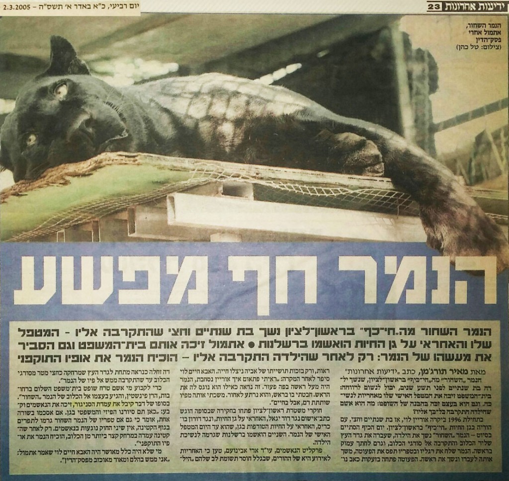 זיכוי מנהל החי כיף